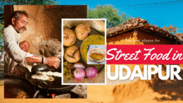 Best Street Foods to Try in Udaipur