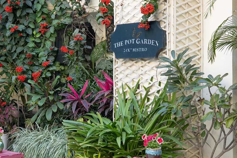 The Pot Garden – 24×7 Bistro