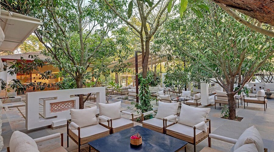 The Lily Court