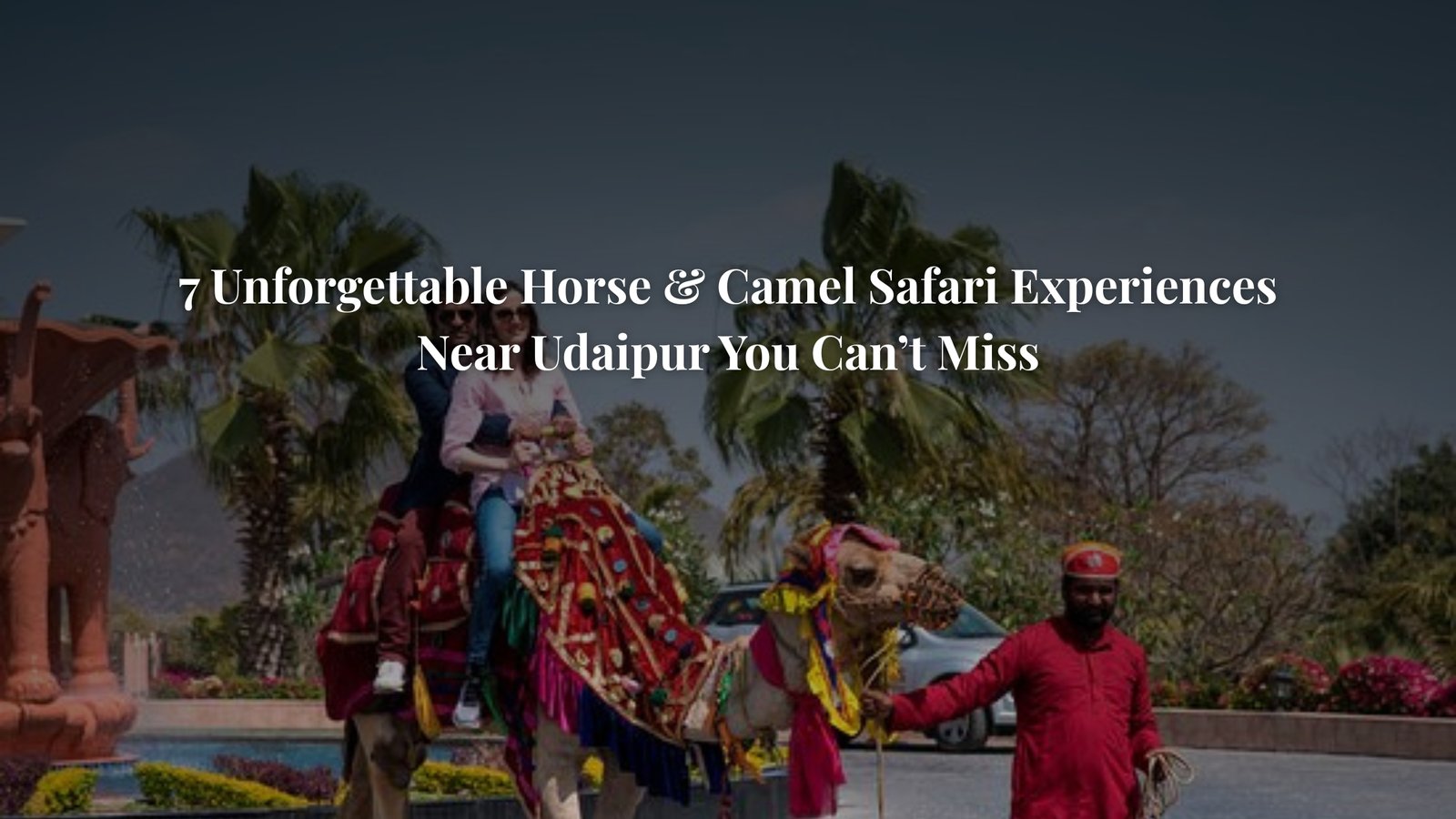 Horse and Camel Safari