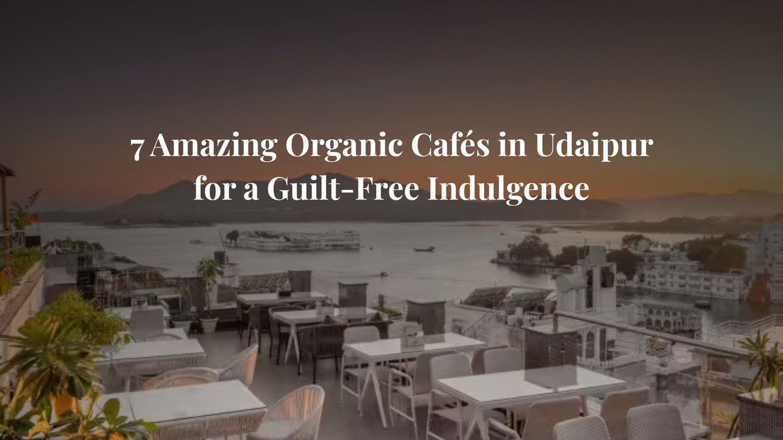 Organic Cafés in Udaipur