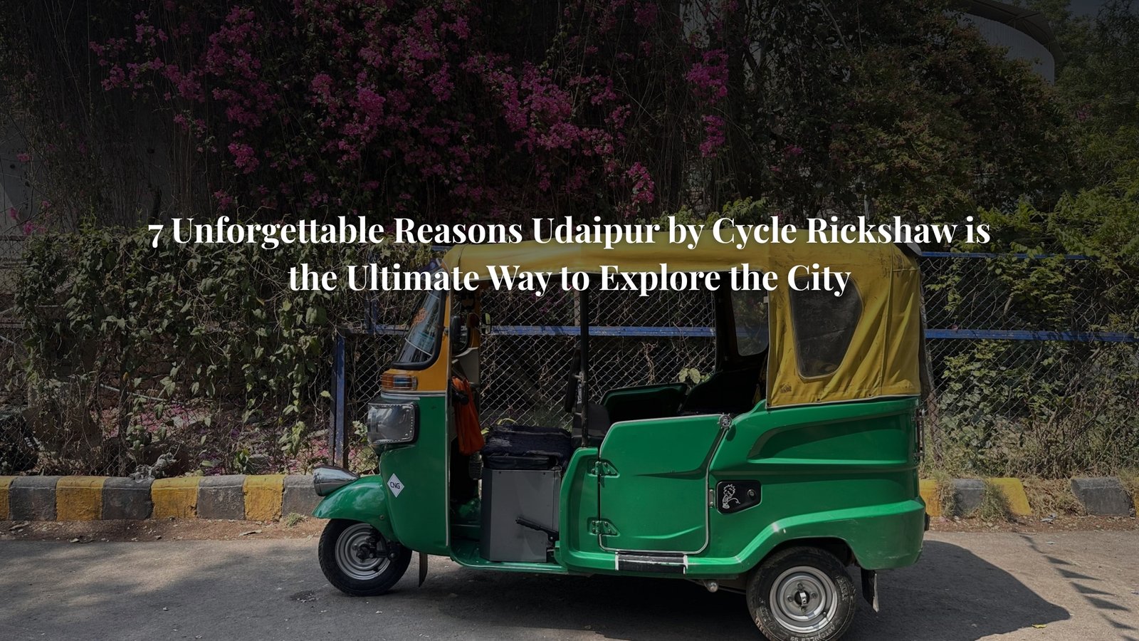 Udaipur by cycle rickshaw