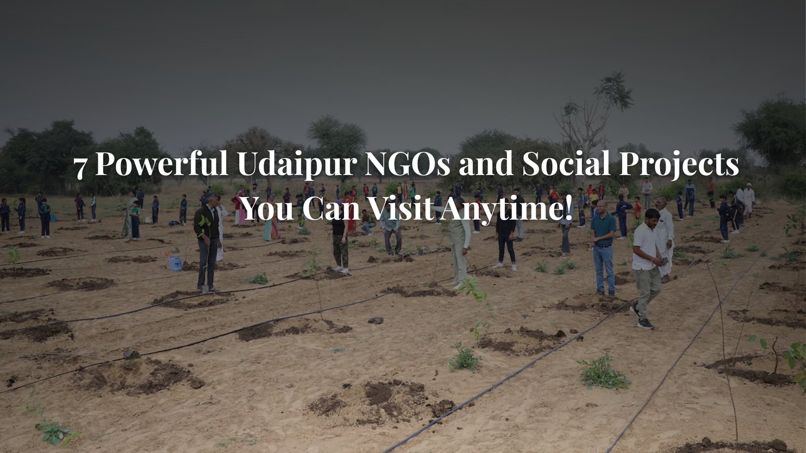 Udaipur NGOs and Social Projects