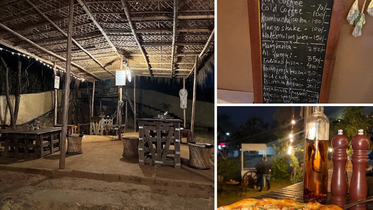 Into The Wild Pizzeria Udaipur with rustic outdoor seating and freshly baked pizza